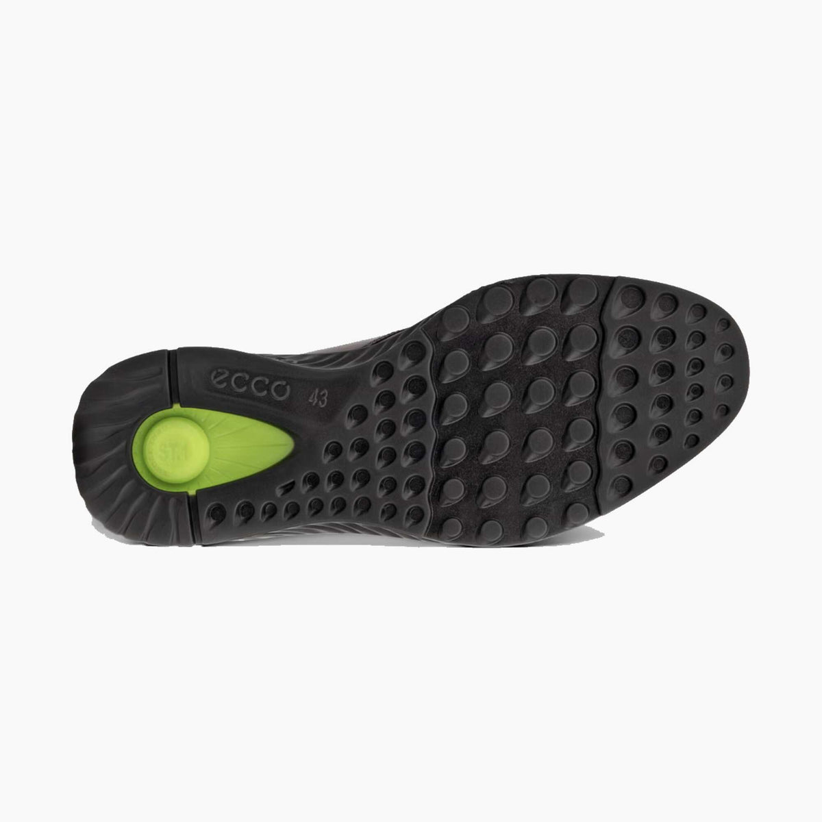 sole